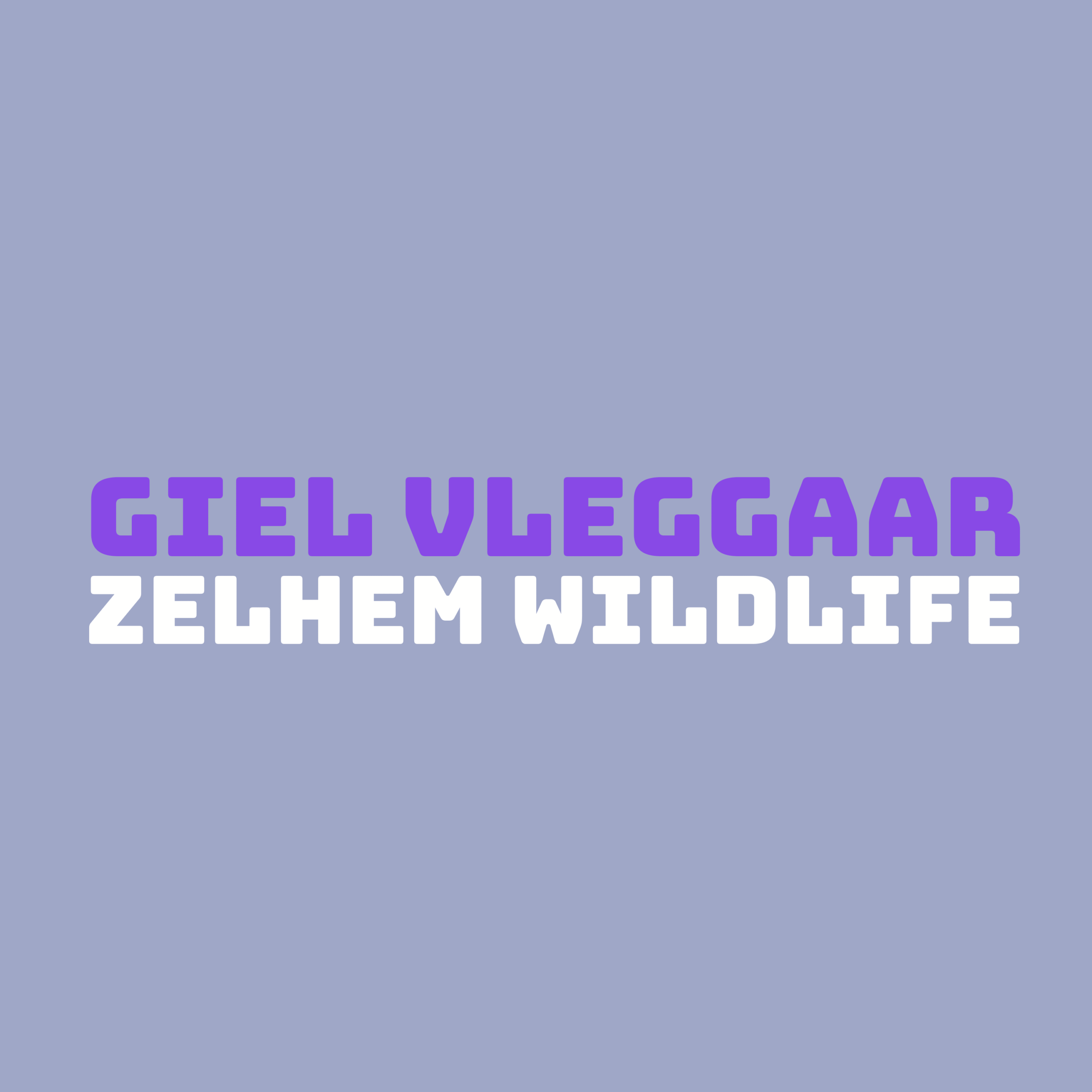 Giel Vleggaar - Zelhem Wildlife (1998) for piano solo